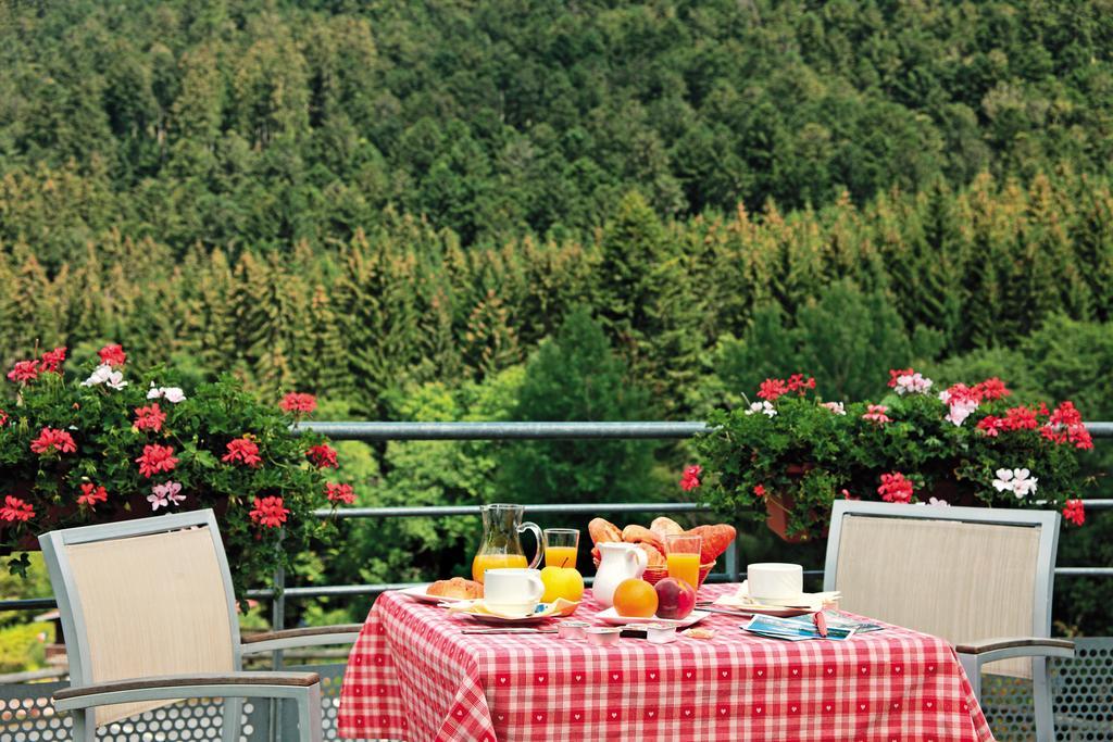 Logis Hotel Le Vetine Le Valtin Εξωτερικό φωτογραφία